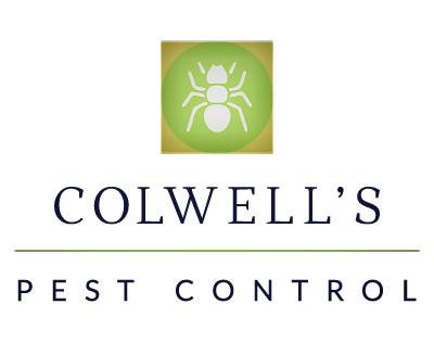 Avatar for Colwell's Pest Control