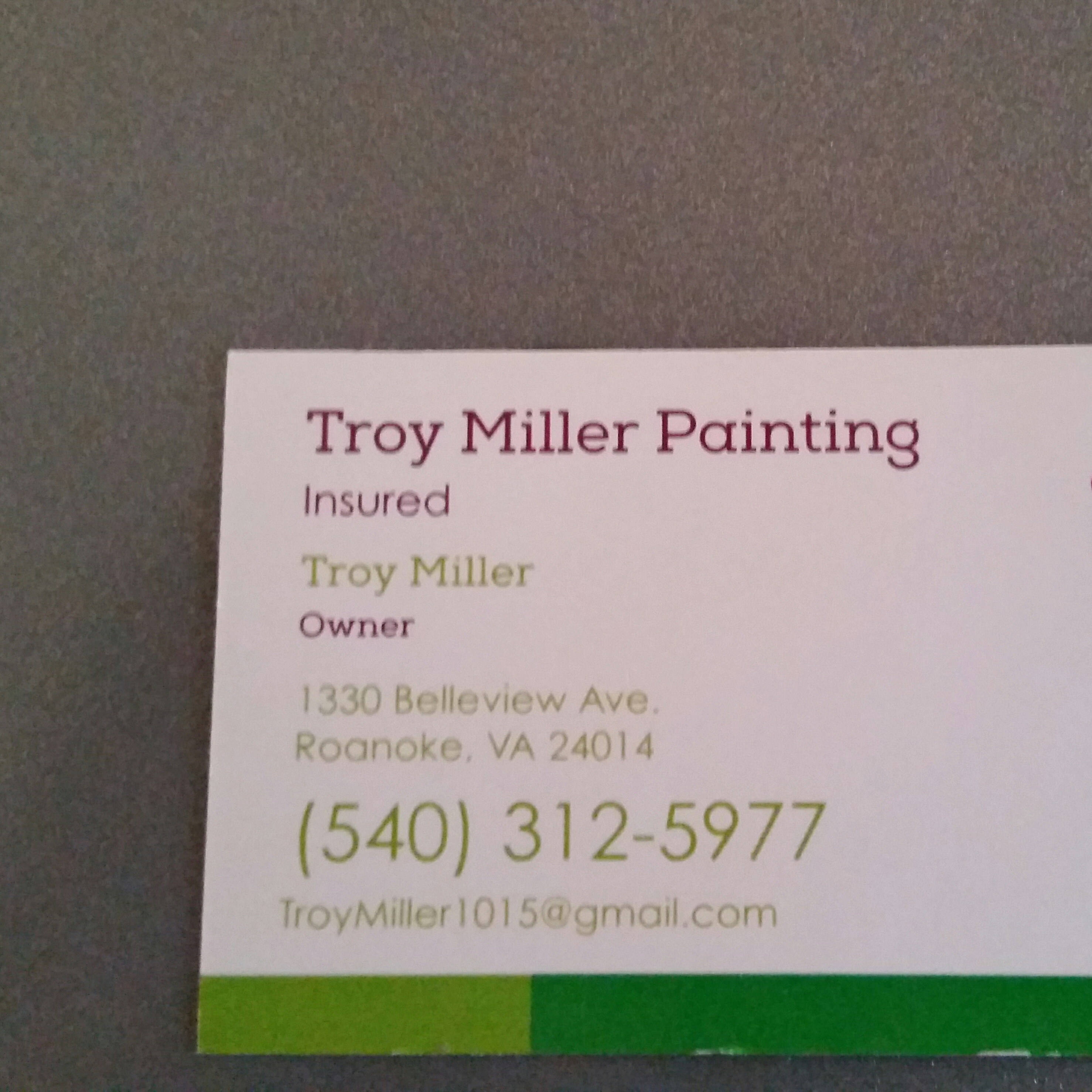 Logo for Troy Miller Painting