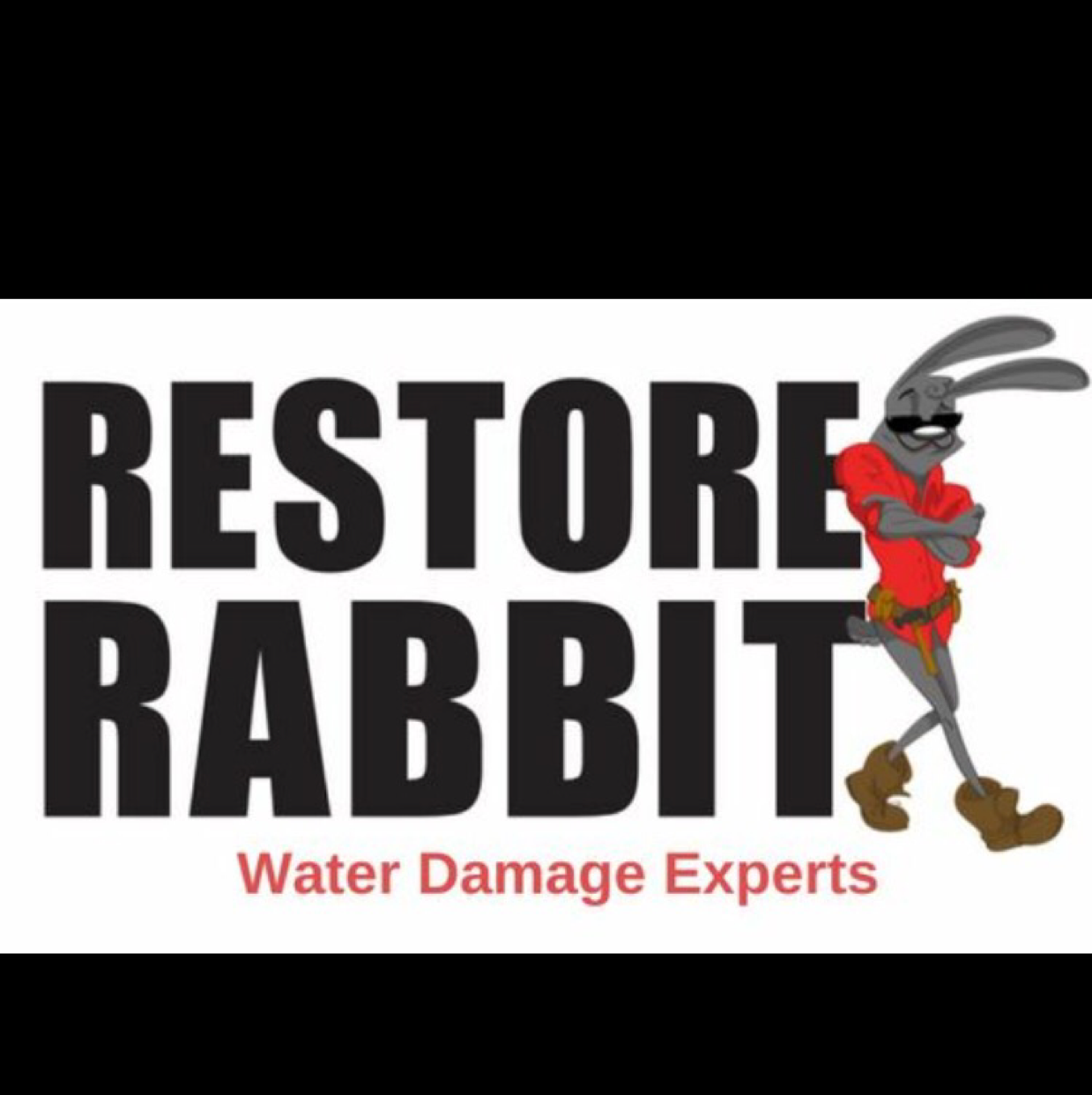 Avatar for Restore Rabbit