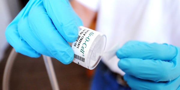 Avatar for Ebright Engineering