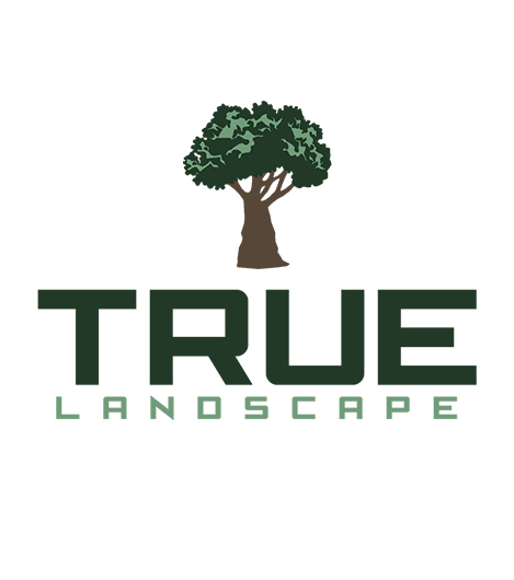 Avatar for True Lanscape