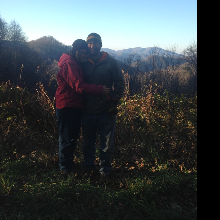 Avatar for WNC Painting & Handyman Services 