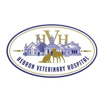 Logo for HEBRON VETERINARY HOSPITAL
