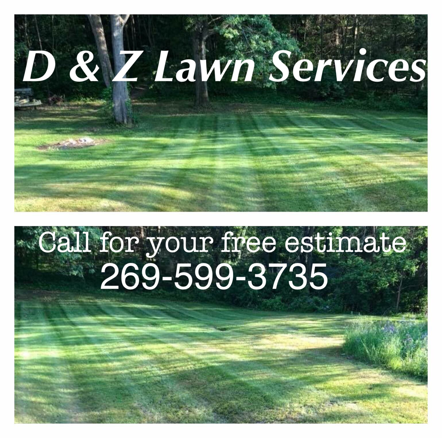 Avatar for D&Z lawn service