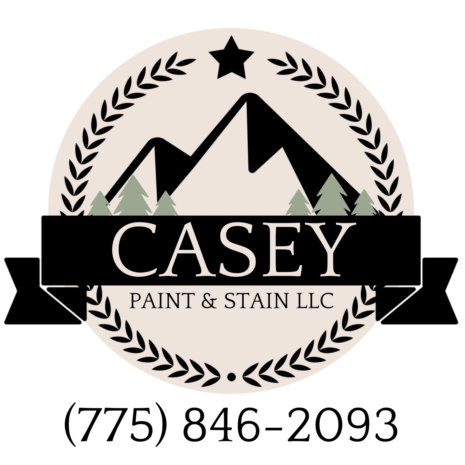 Logo for Casey Paint & Stain LLC