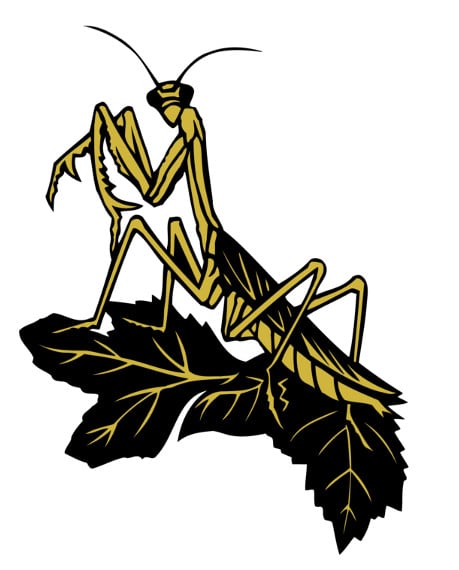 Avatar for AA Pest Management, Inc