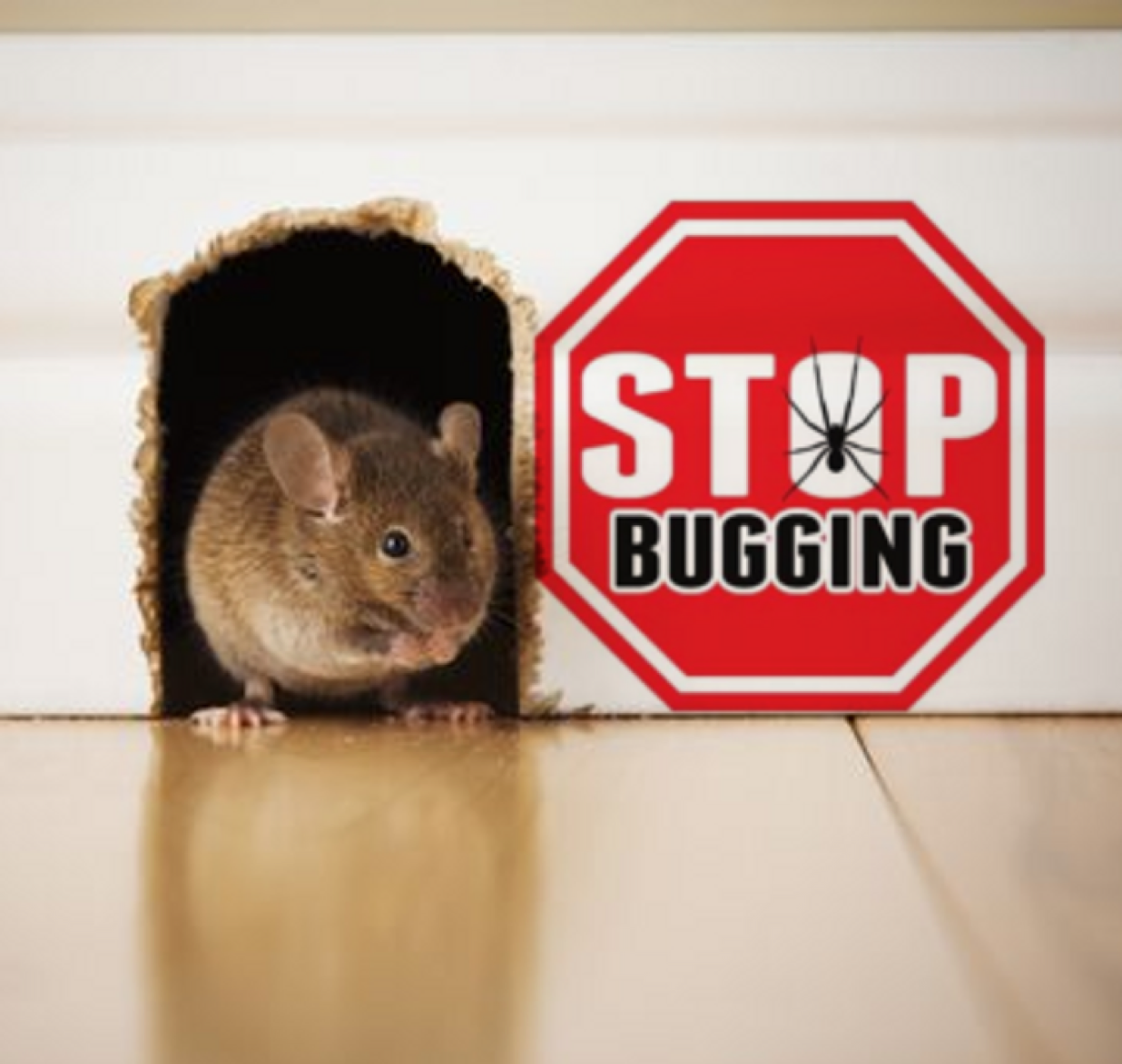 Avatar for Stop Bugging