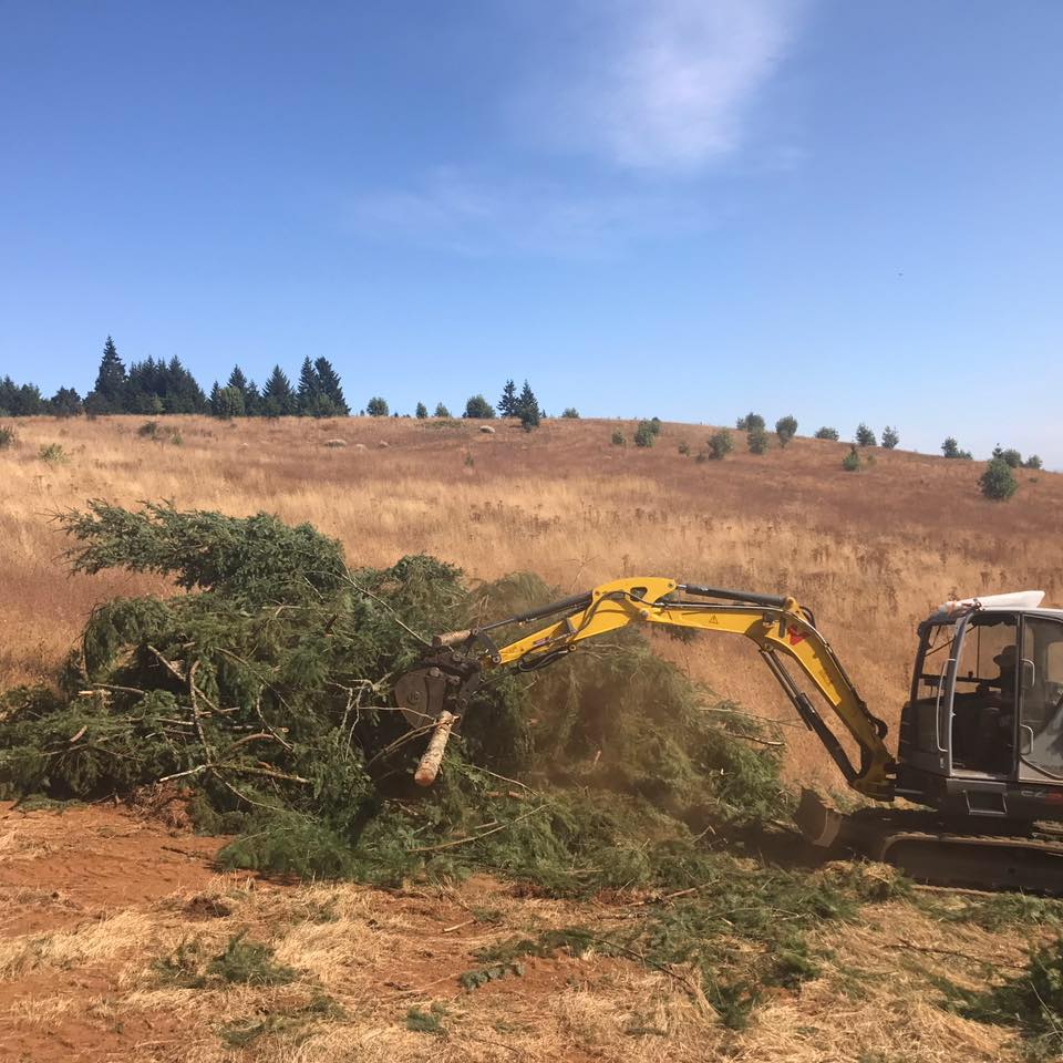 Avatar for Homers Excavation