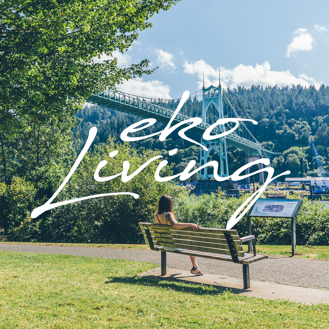 Avatar for EkoLiving