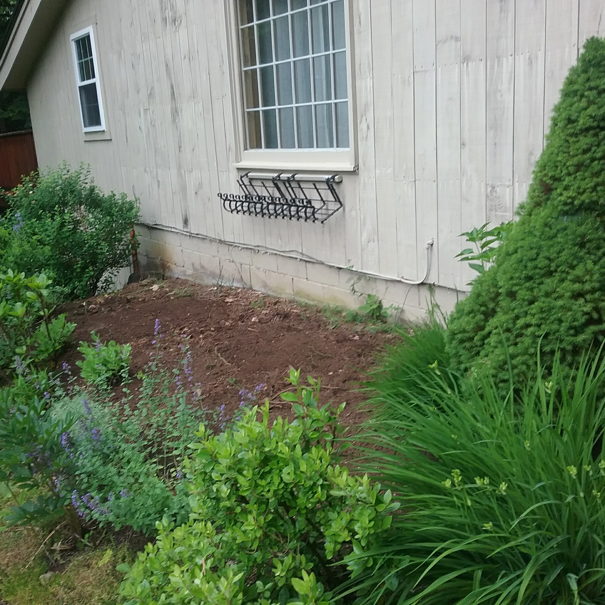 Avatar for Murray's property care 