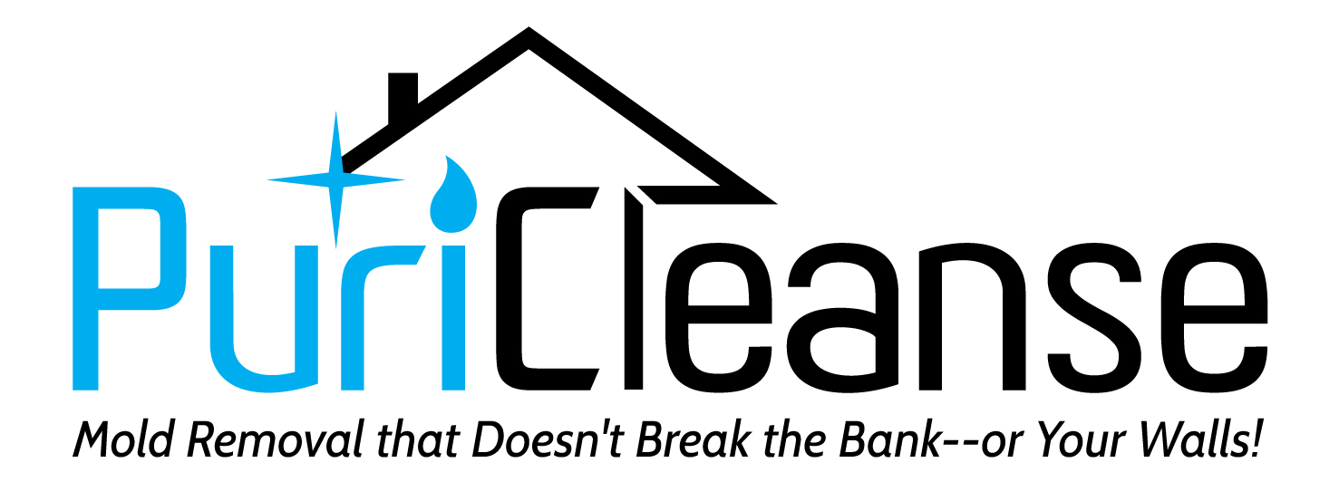 Avatar for Puricleanse