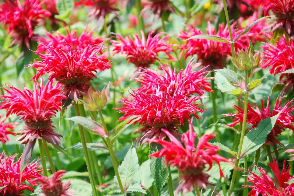 Avatar for Nieves Brothers Lcc