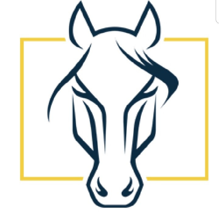 Avatar for Stallion Construction