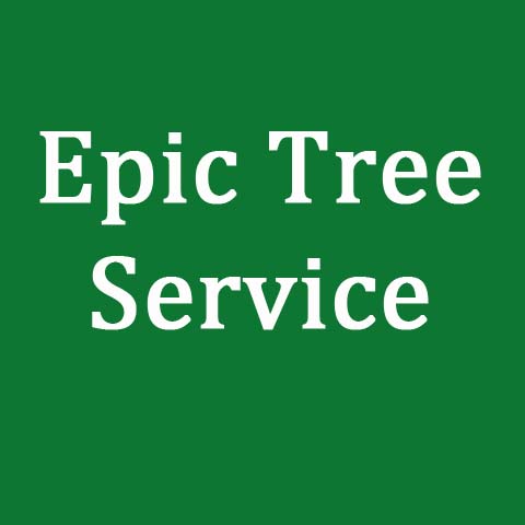 Avatar for Epic Tree Service