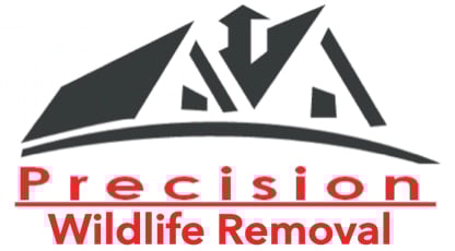 Avatar for Precision Wildlife Removal