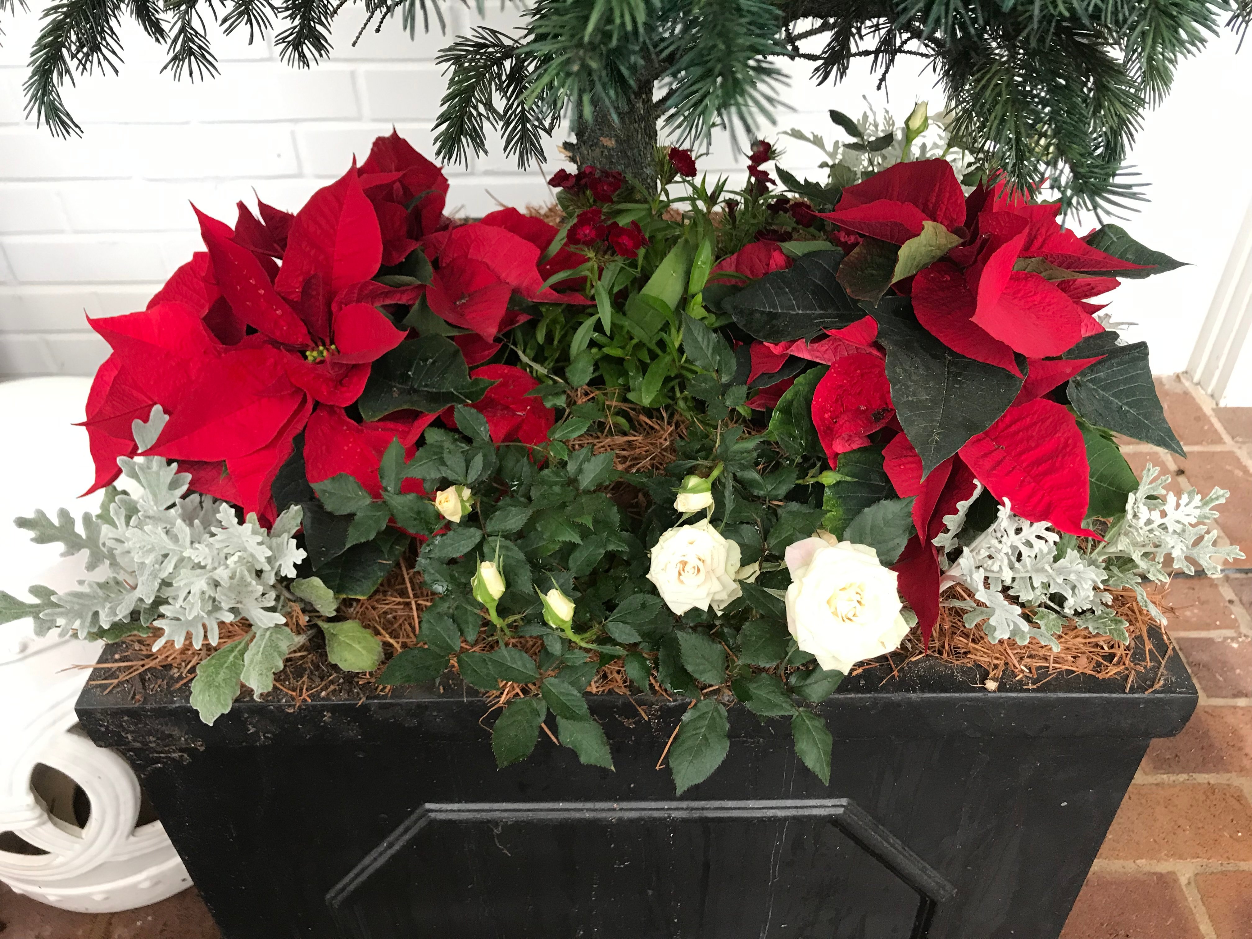 Avatar for Choice Lawnscapes