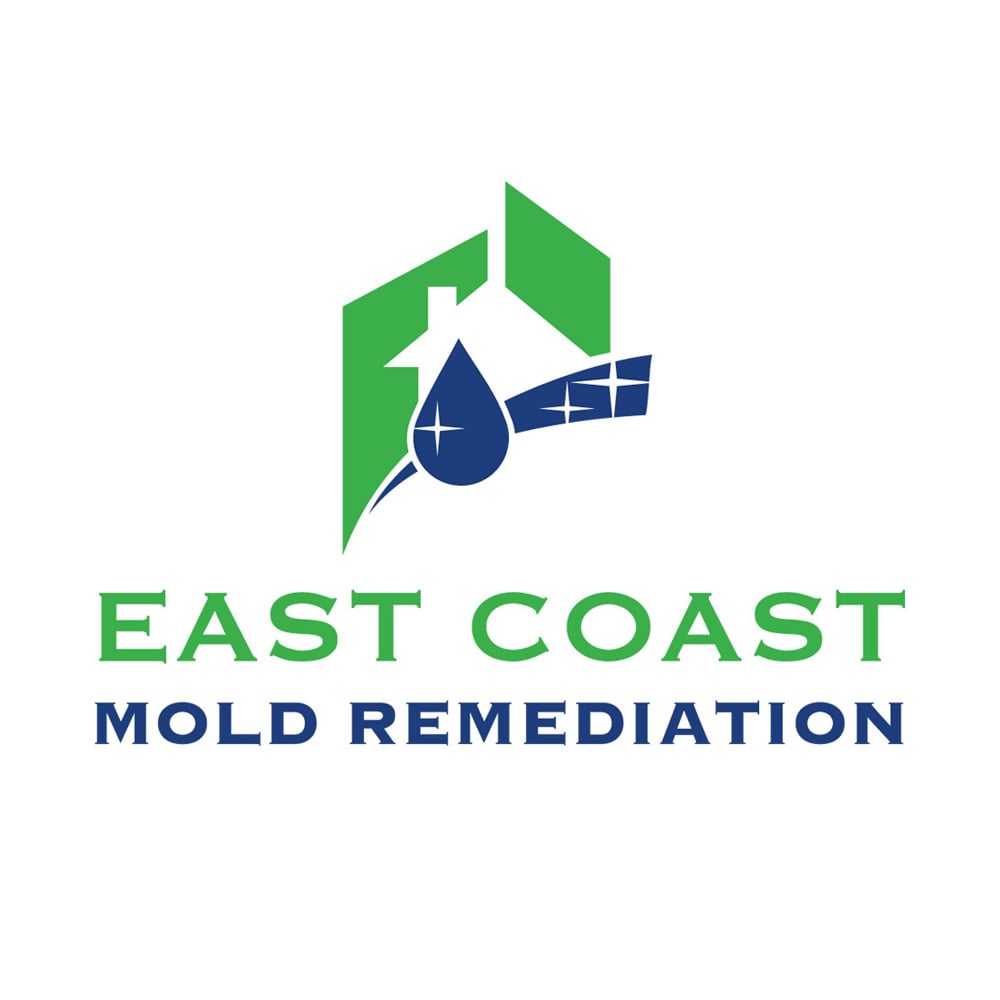 Avatar for East Coast Mold Remediation