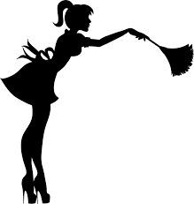 EnviiUs Cleaning logo