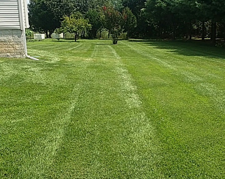 Avatar for Castellanos Yard services and painting