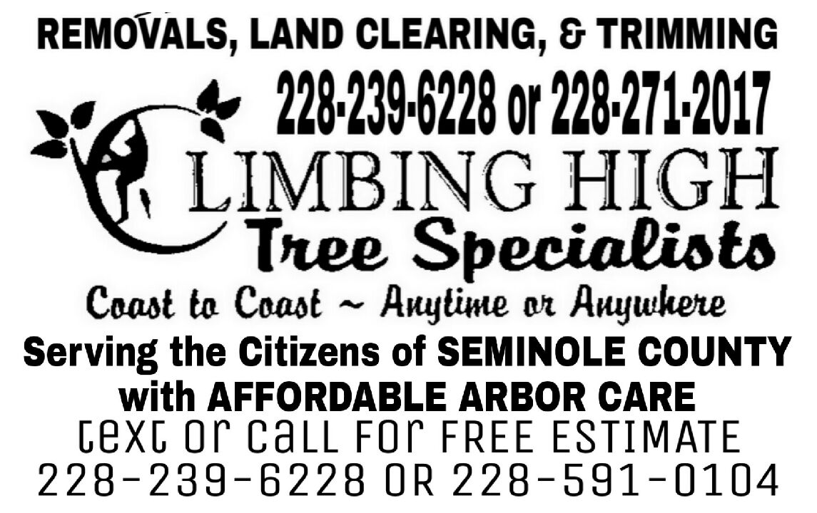 Climbing High Tree Specialists logo