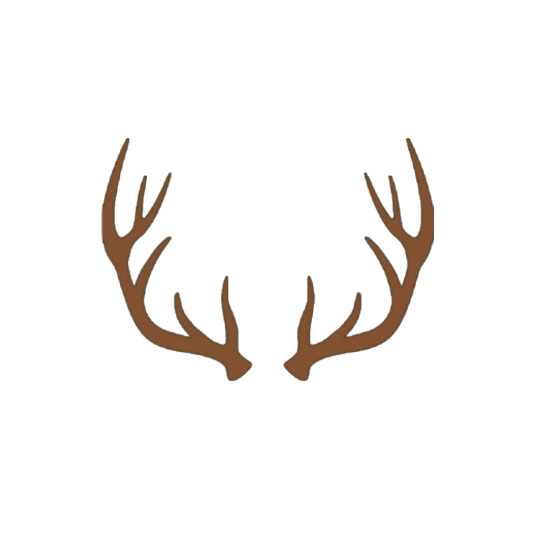 Avatar for Bergen Utility Contracting 