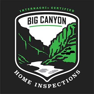 Avatar for Big Canyon Home Inspections