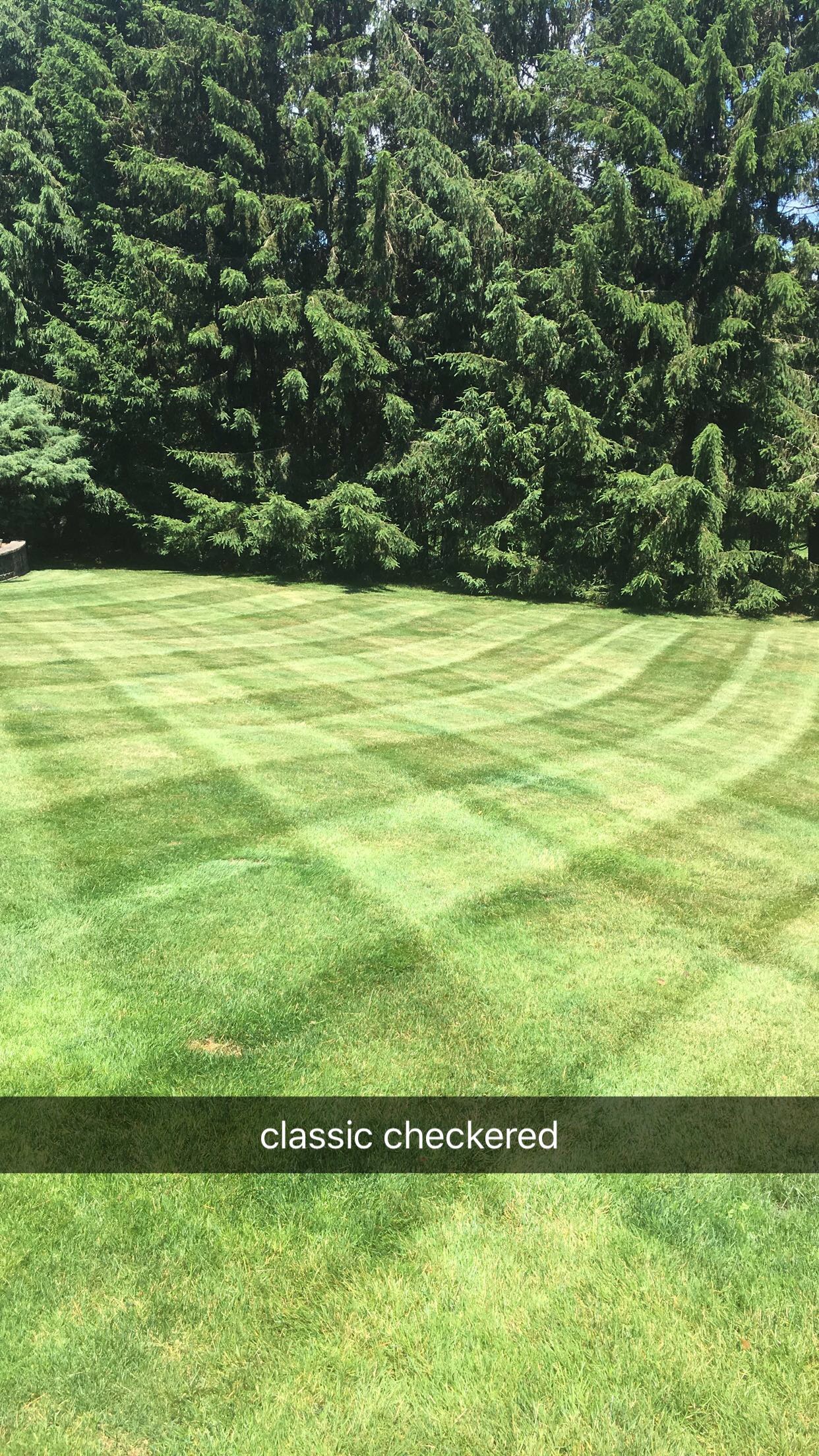 Avatar for ZF LAWNS