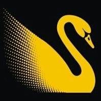 Logo for Golden Swan Services 