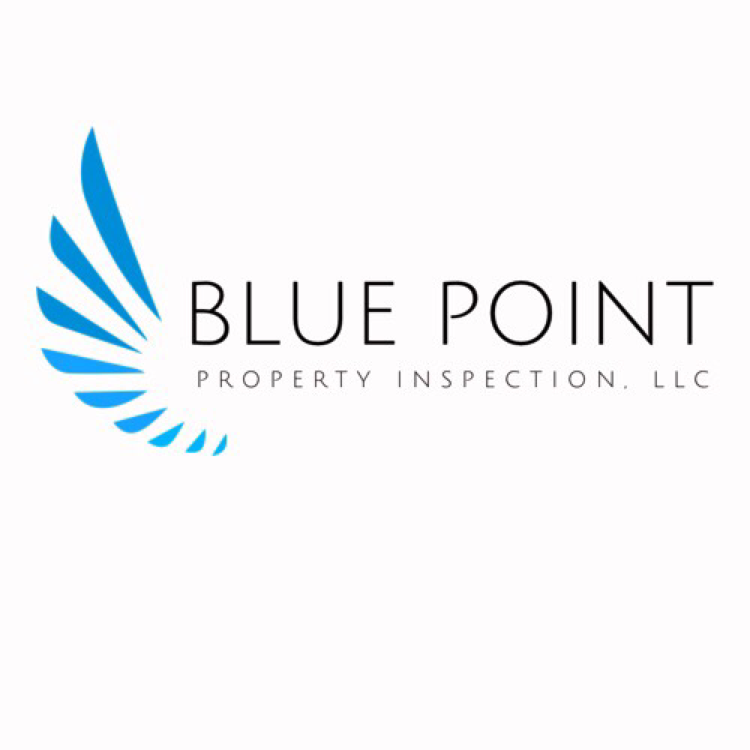 Blue Point Property Inspection, LLC logo