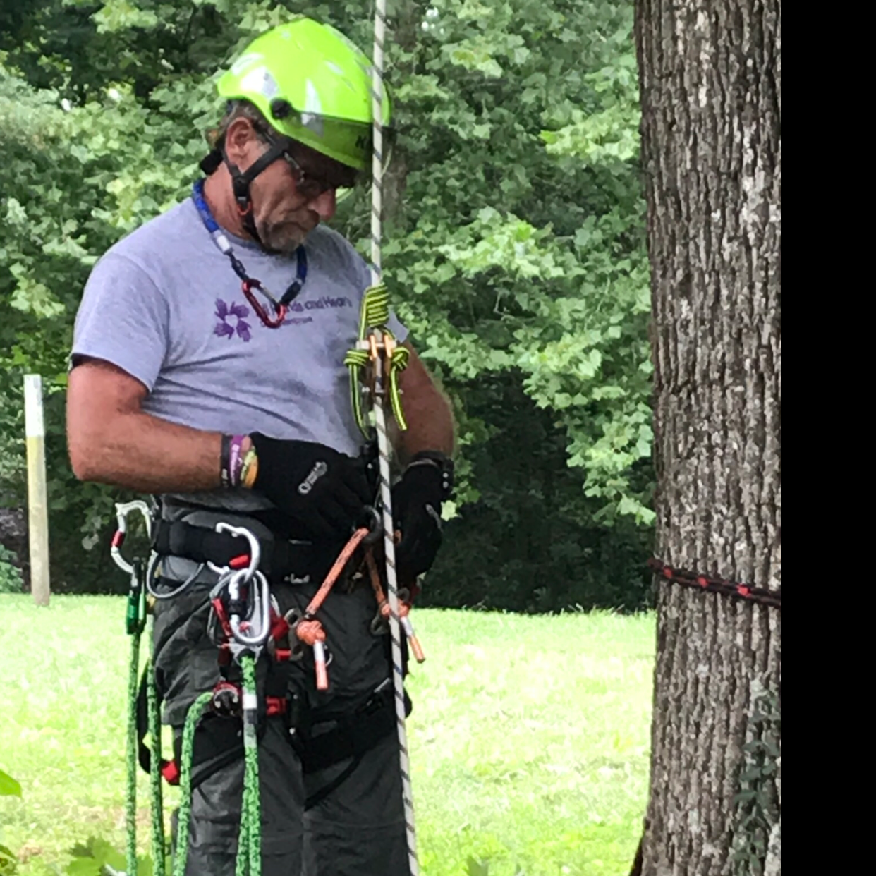 Avatar for Innovation Tree Service