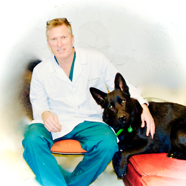 Logo for PAOLI VETERINARY CARE