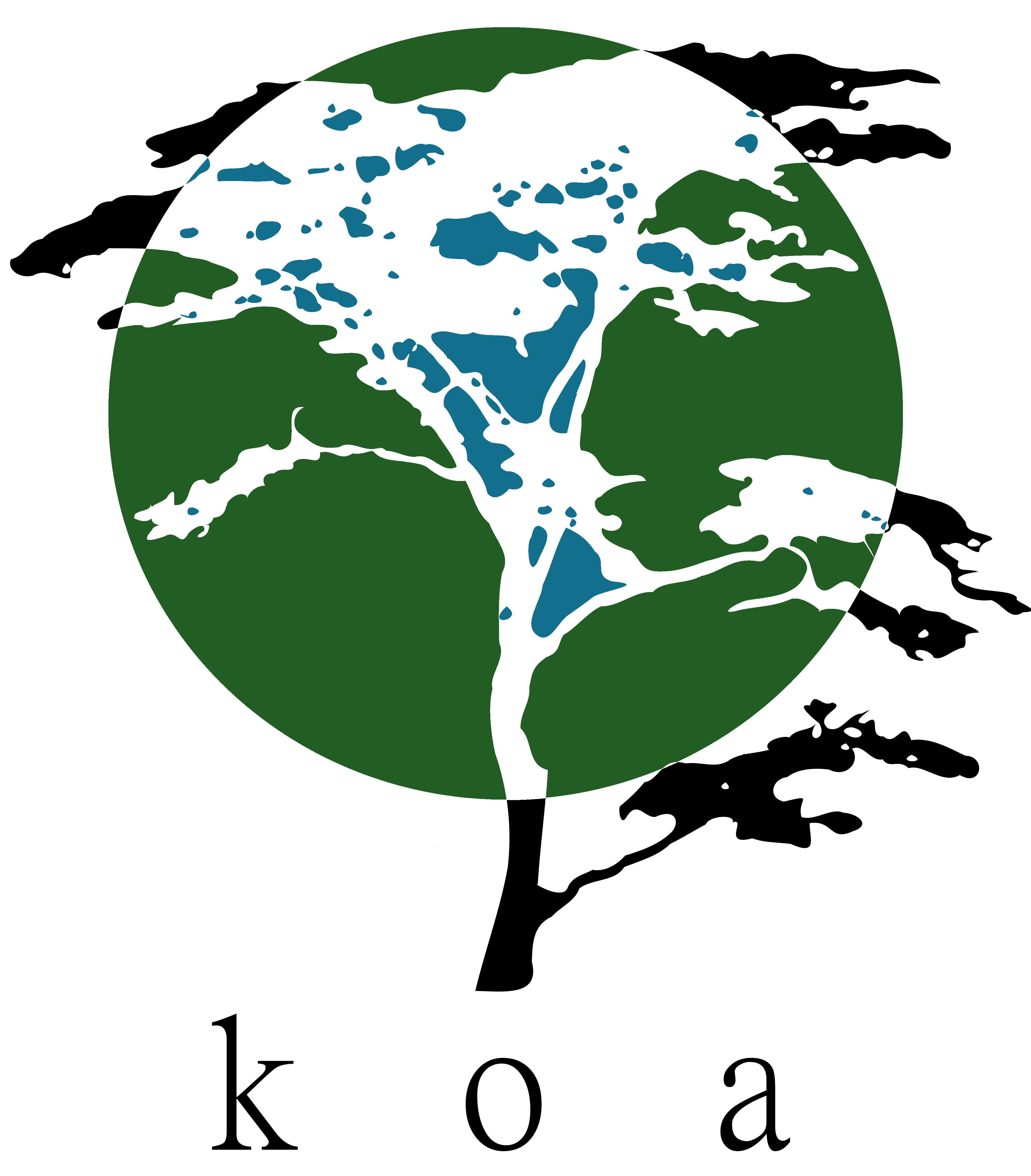 Avatar for Koa Wood Restoration