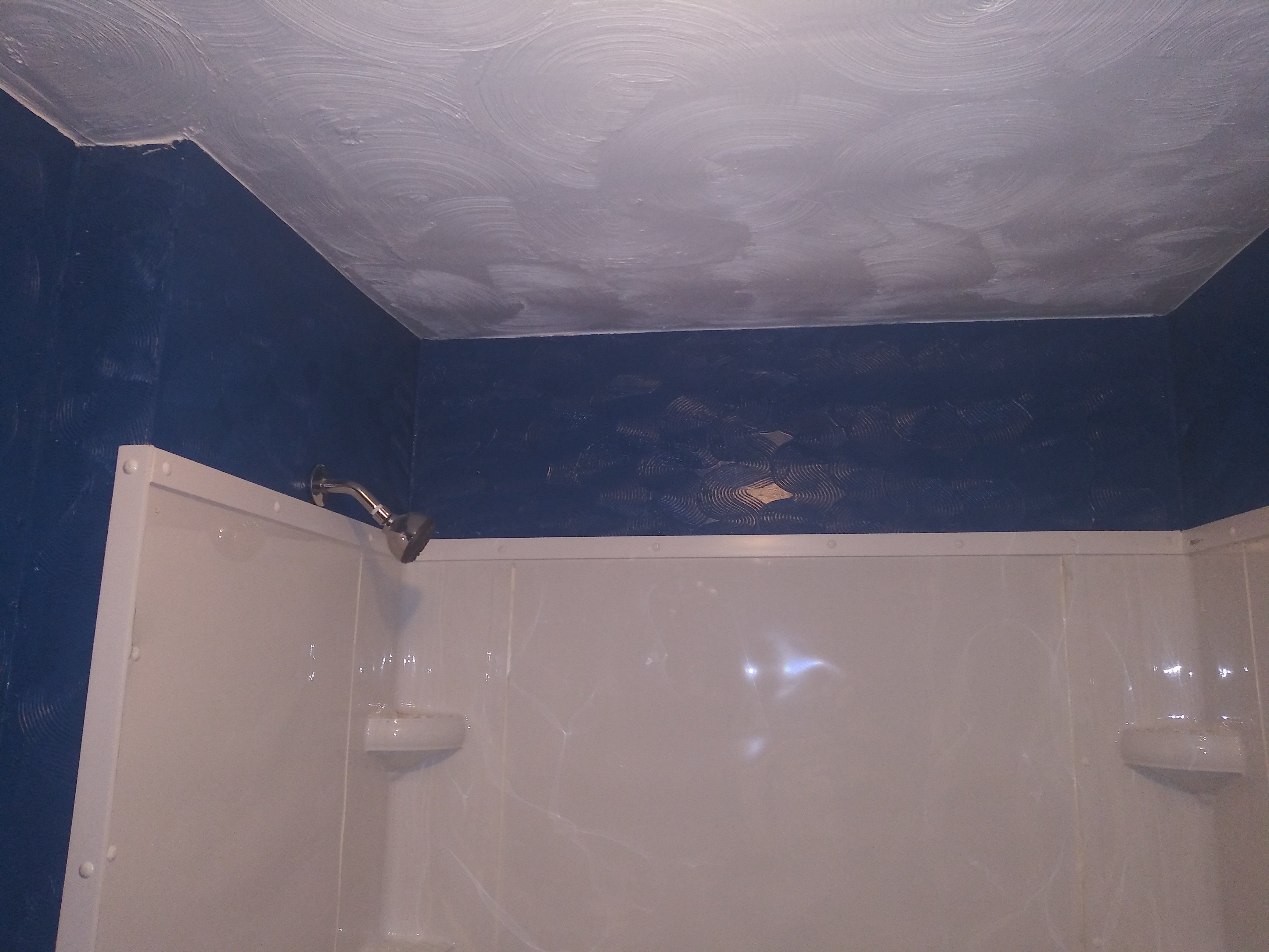 Avatar for The patron PTG