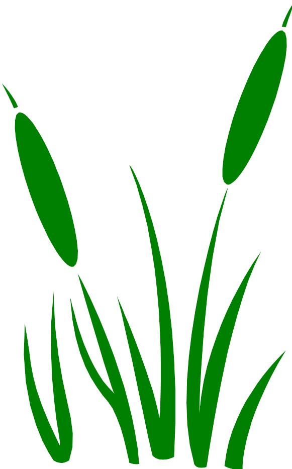 Shore Environmental Landscape LLC. logo