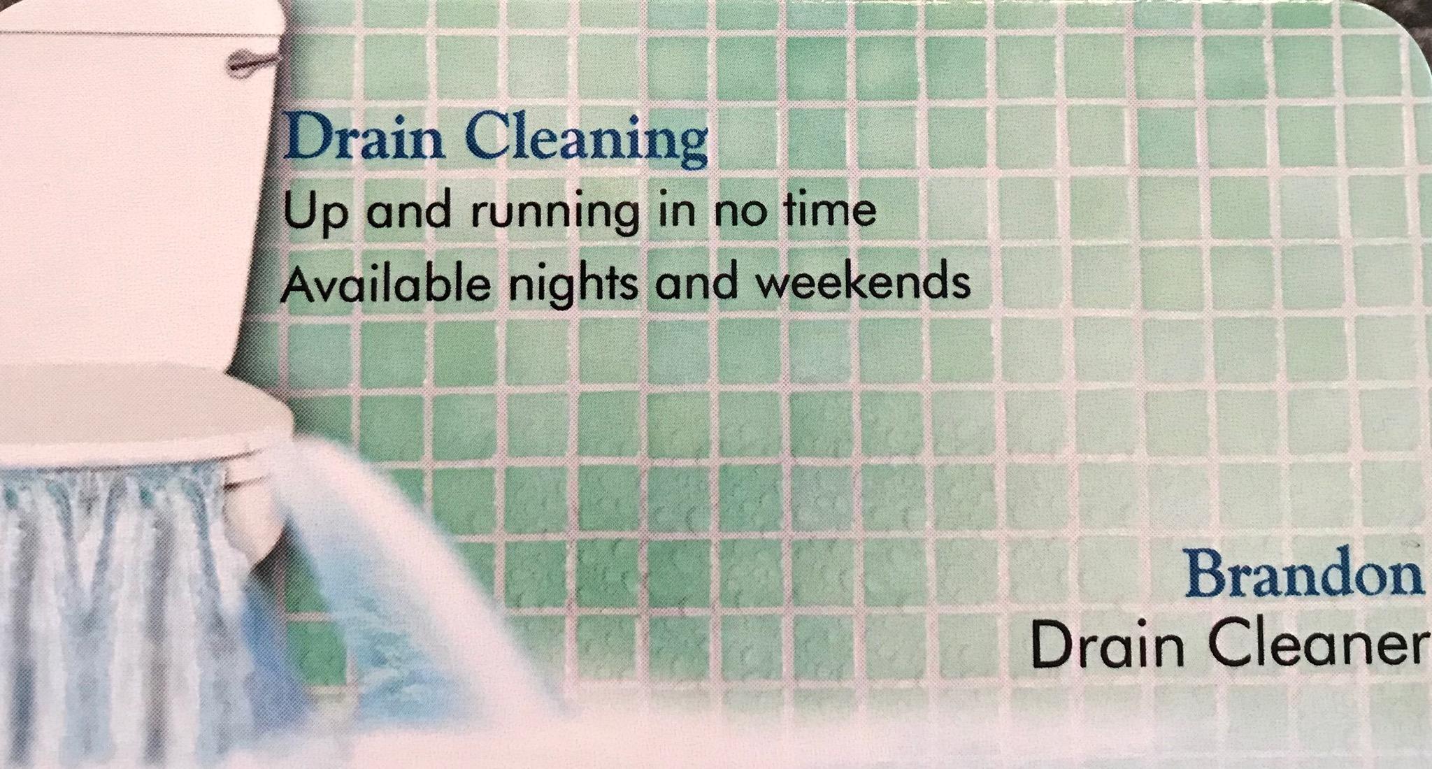 Avatar for The Drain Cleaner