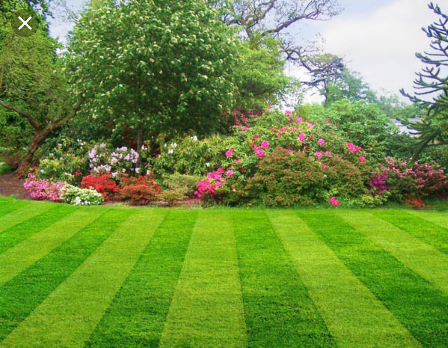 Avatar for SNM Landscaping & Seal Coating