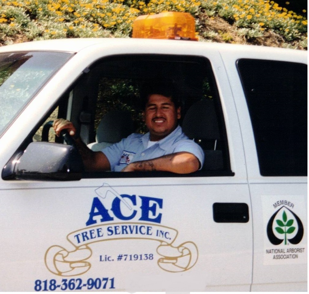 Logo for Ace Tree Service Inc