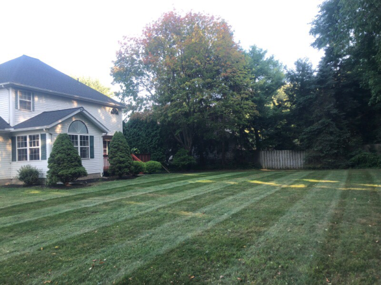 Avatar for Teachout Landscaping LLC