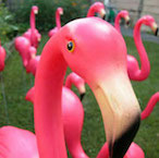 Flamingo Party People logo