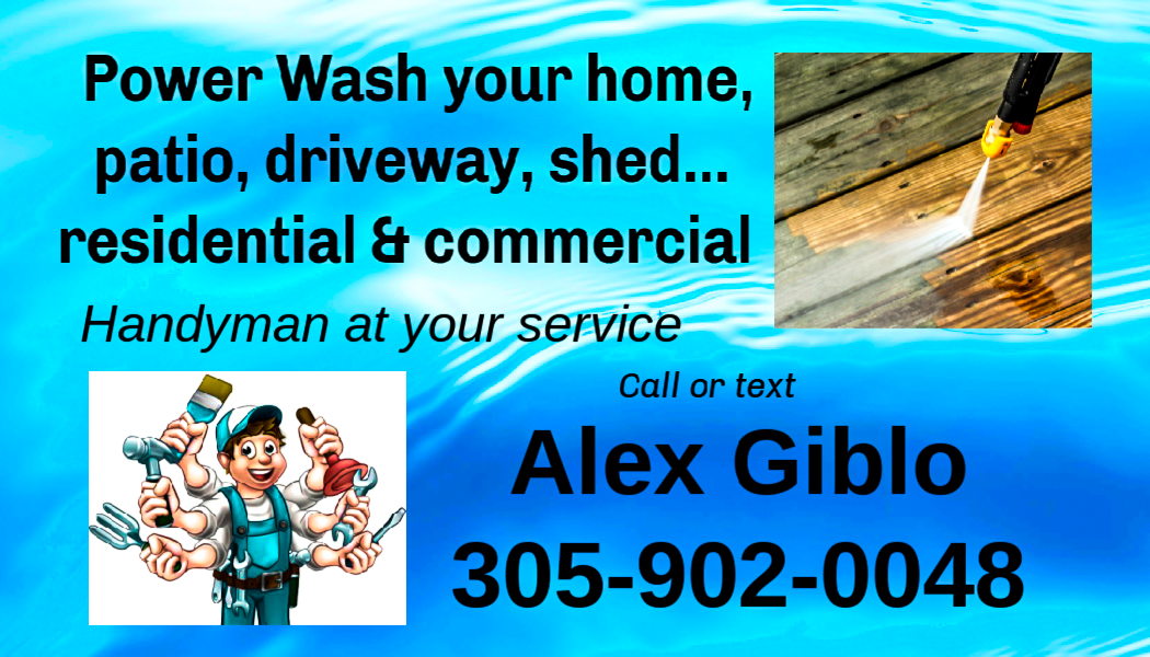 Avatar for Spring cleaning pro 