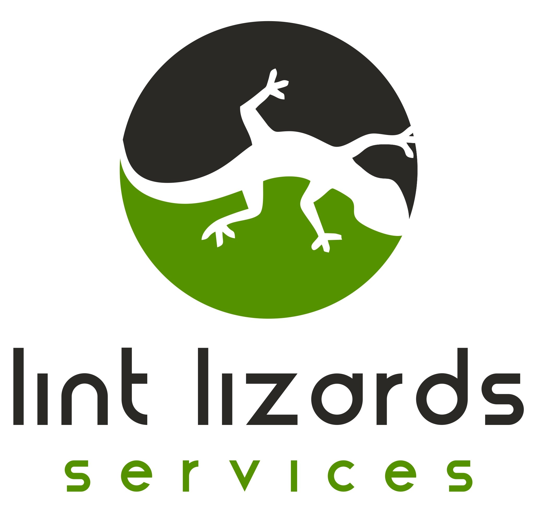 Avatar for Lint Lizards Services