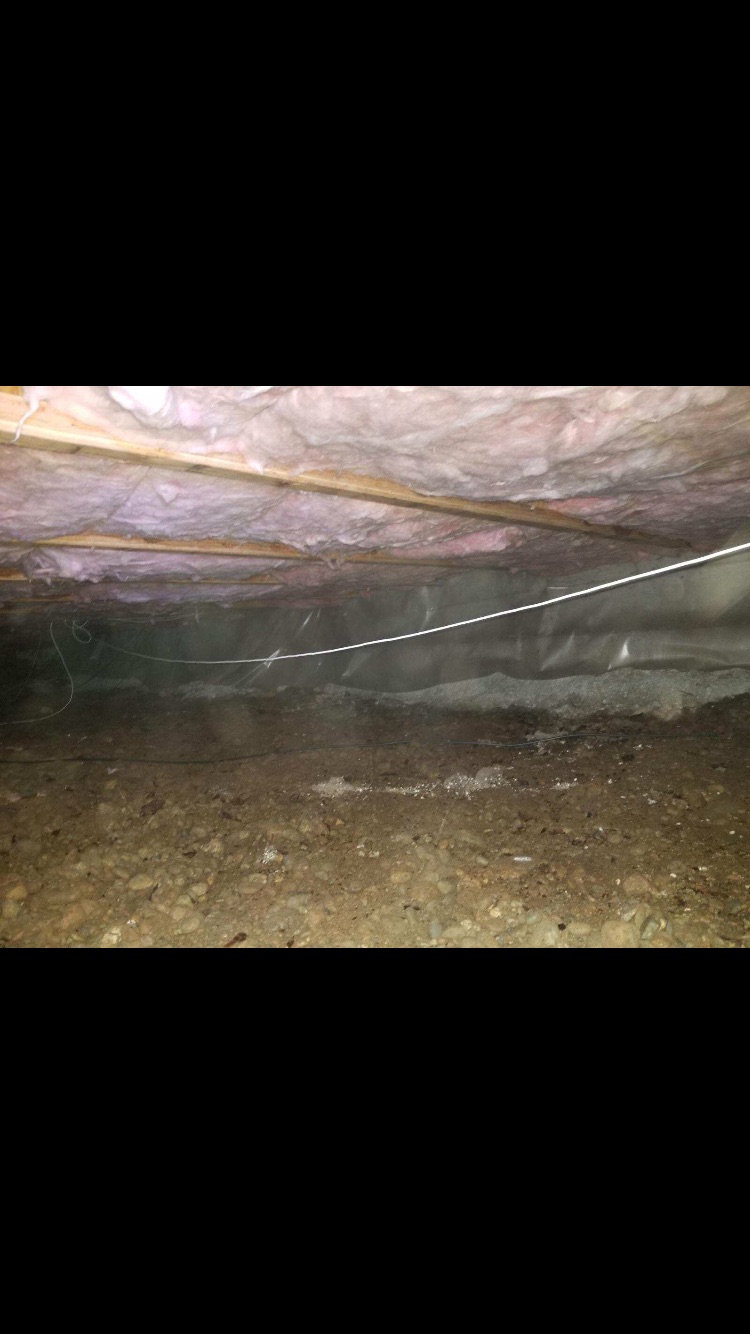 Avatar for Crawl Space CleanOuts!