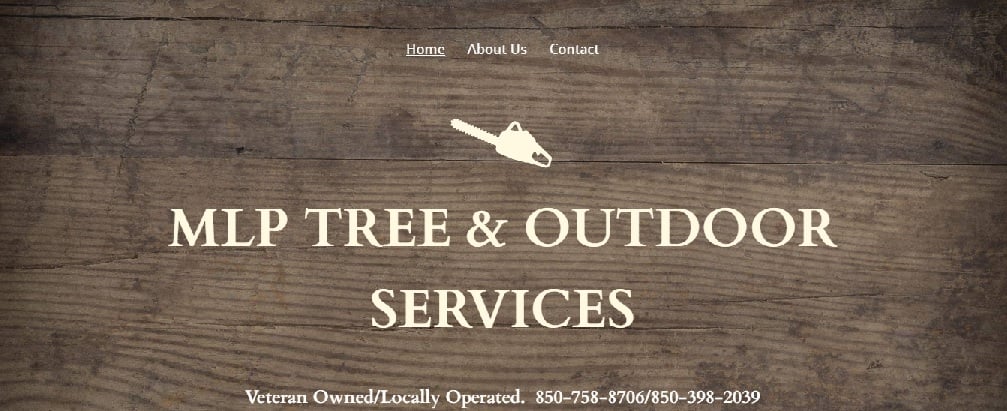 Avatar for MLP Tree & Outdoor Services 