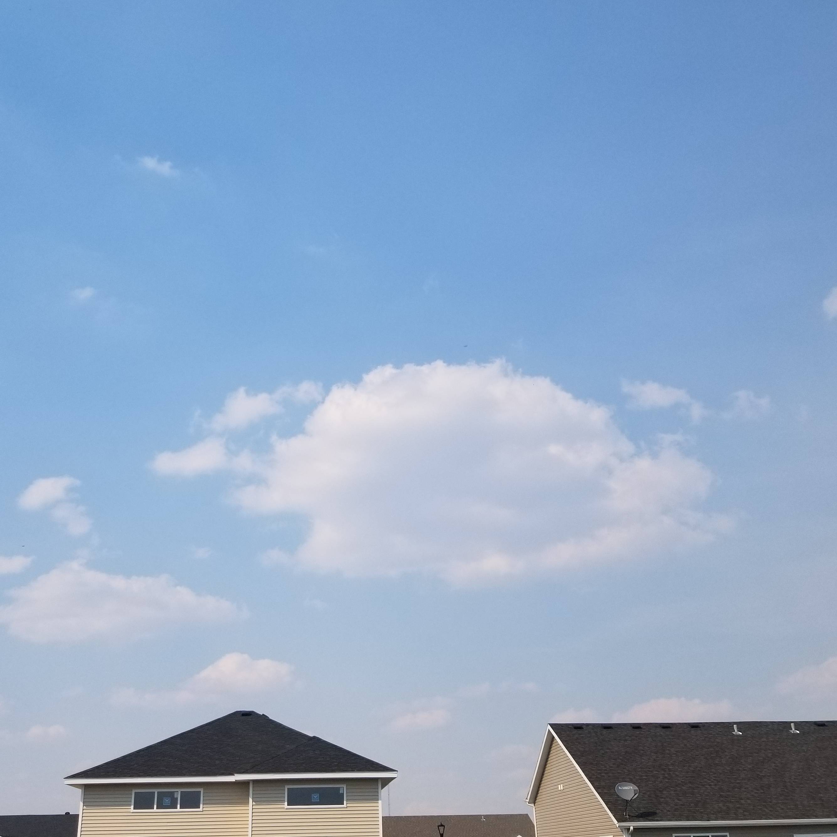 Avatar for New Vision Painting 