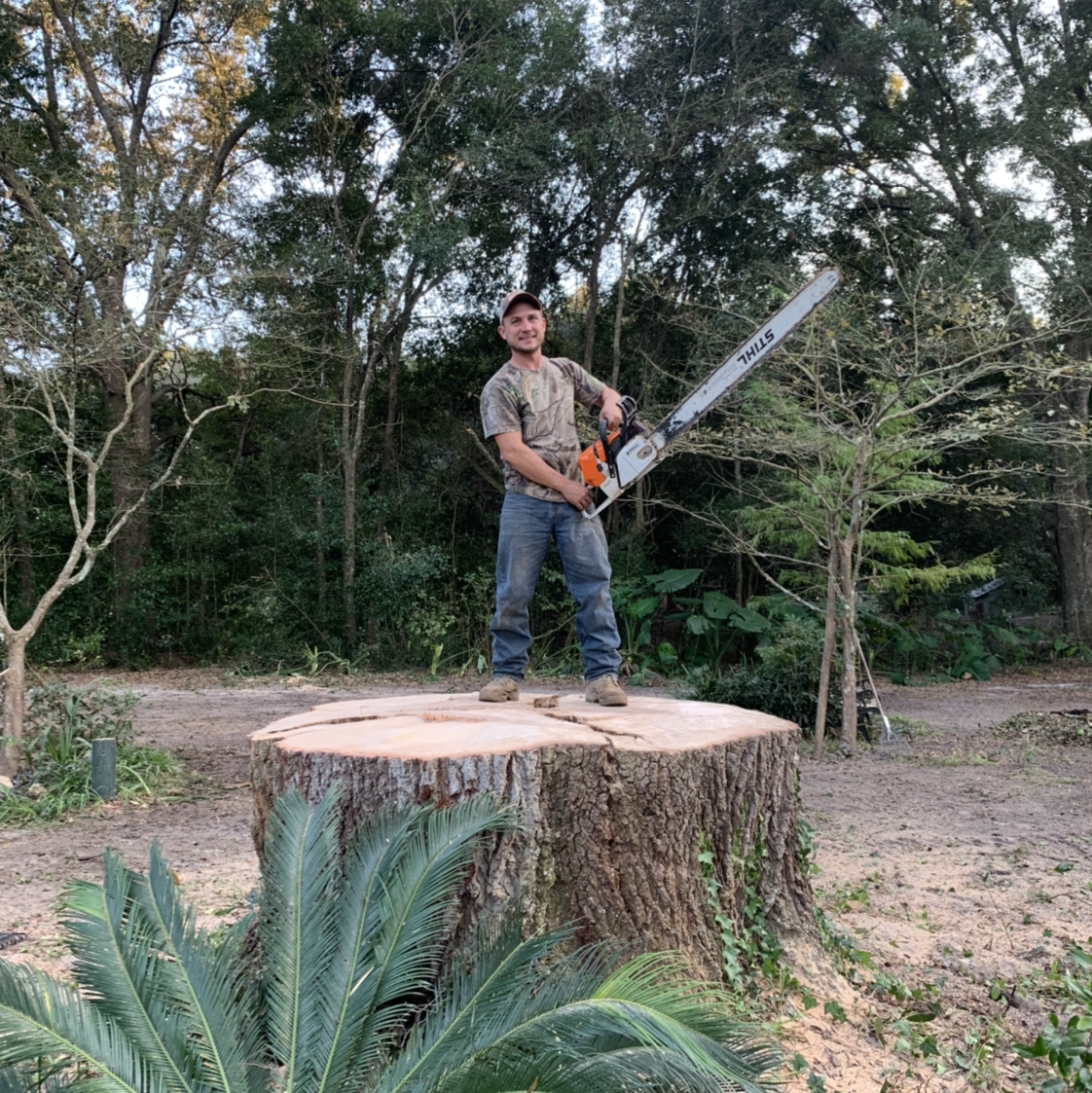 Avatar for Buckleys tree and lawn