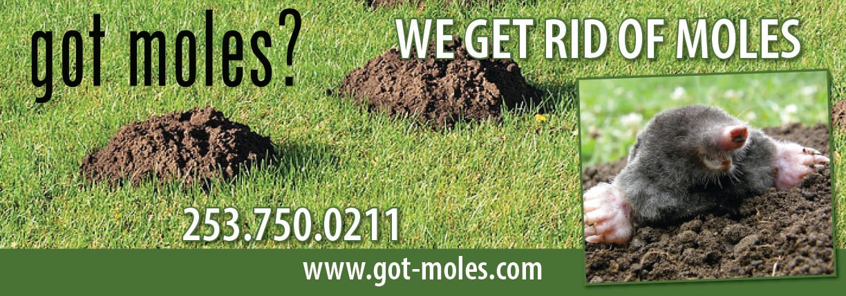 Avatar for Got Moles