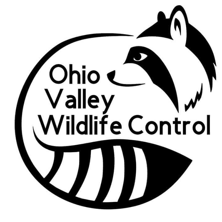 Avatar for Ohio Valley Animal Control