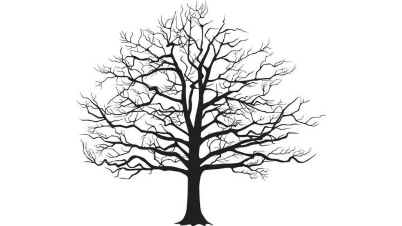 Avatar for FLC Pest Solutions