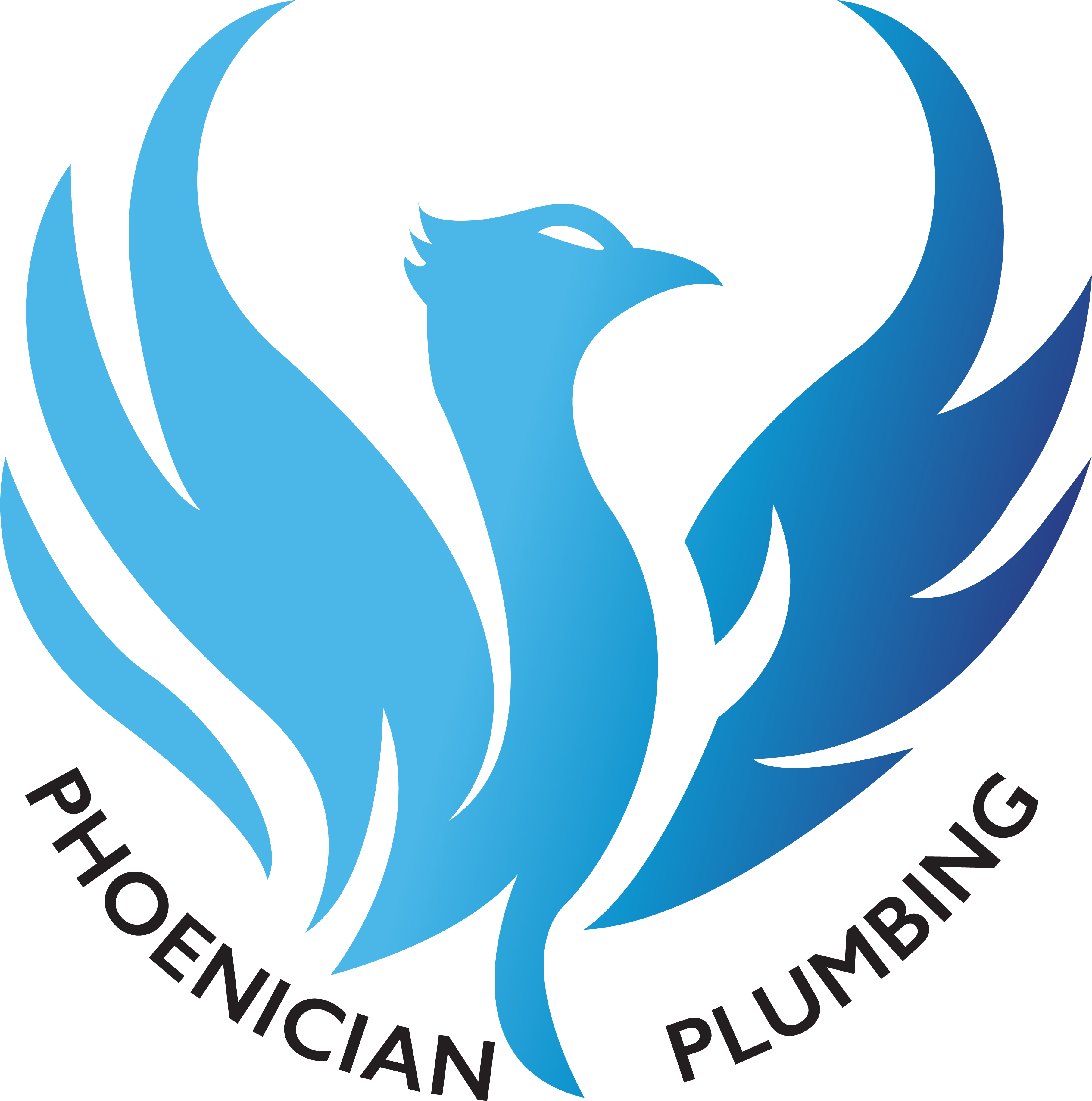 Avatar for Phoenician Plumbing LLC