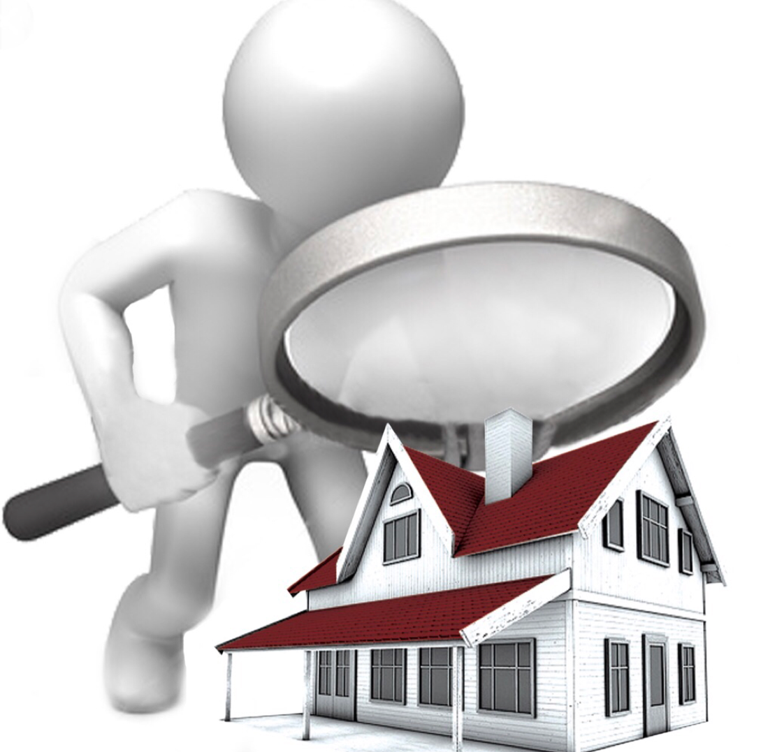 Avatar for Naquins Home Inspection Services